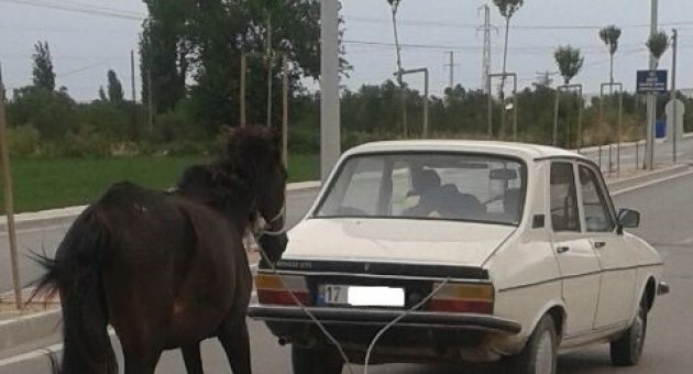 Karayolun da İlginç Görüntü ..