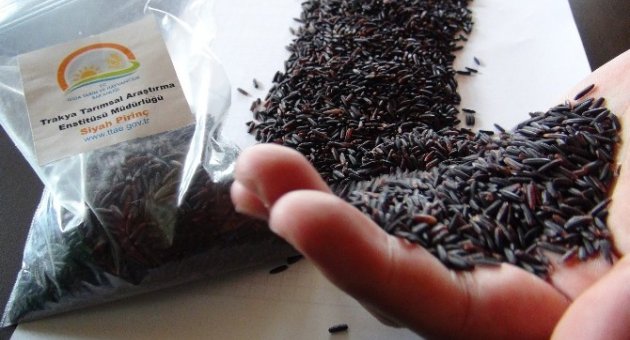 Karbonhidrat Oranı Düşük ’diyet Pirinç’ Çıktı