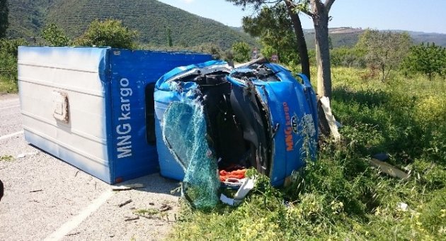 Kargo Aracı Ağaca Çarptı: 2 Yaralı