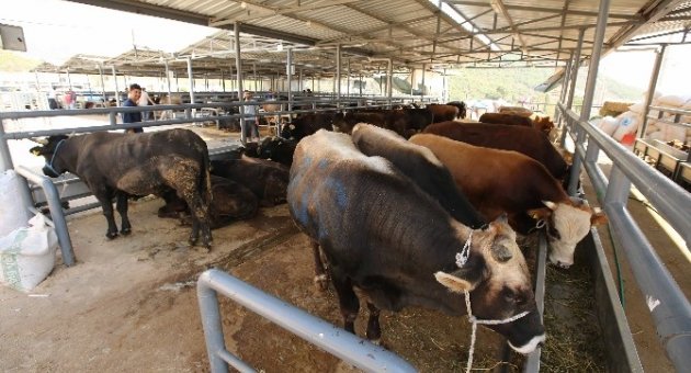 Karşıyaka Kurban Bayramı’na Hazır
