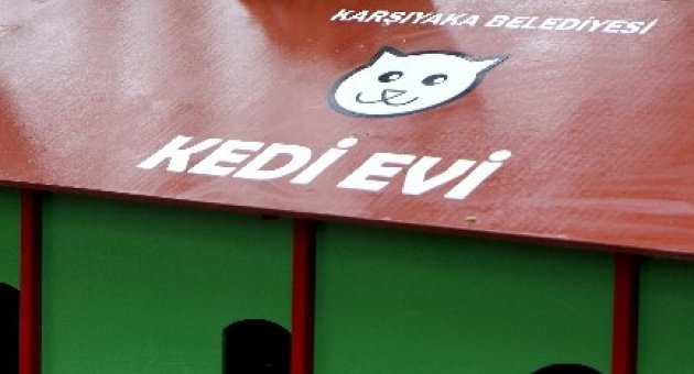 Karşıyaka’da Kedilere ‘kalıcı’ Yuva