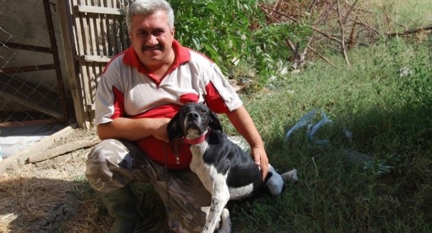 Kaybolan Köpeğine Kavuştu