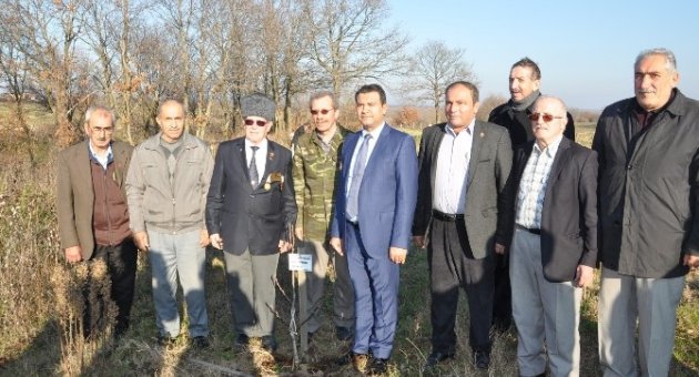 Kaymakam Gürbüz, Gaziler Fidanlığı’nı Ziyaret Etti