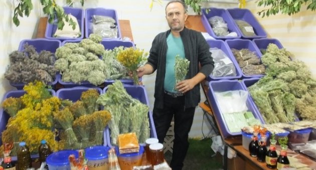 Kazdağının Şifalı Otları Geçim Kaynağı Oldu