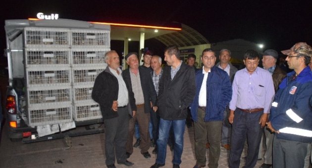 Keklikler Doğaya Salındı