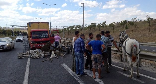 Kendi Canından Çok Atına Üzüldü
