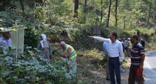 Kertil Mesire Alanında Temizlik Çalışması Yapılıyor