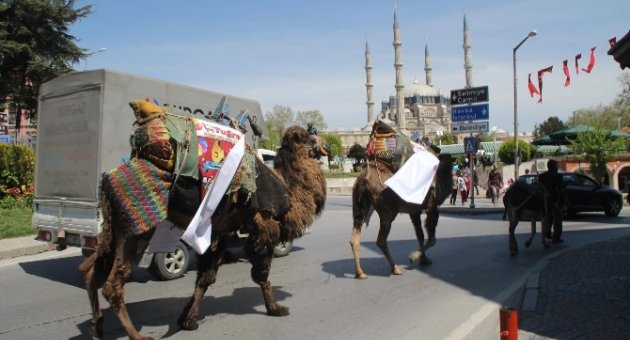 Kervan İle Duyuru