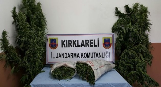 Kırklareli’de 8 Kilo Esrar Ele Geçirildi