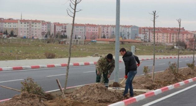 Kırklareli’de Toki Yolu Ihlamur Kokacak
