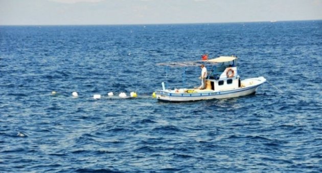 Kırmızı Mercanlar Özgürlüğüne Kavuşturuluyor