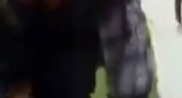 Kızlar Kavga Etti Erkekler Bahis Oynadı