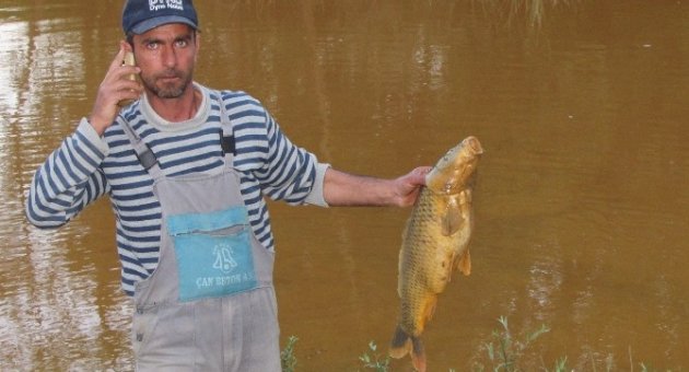 Koçabaş Çayında Toplu Balık Ölümleri