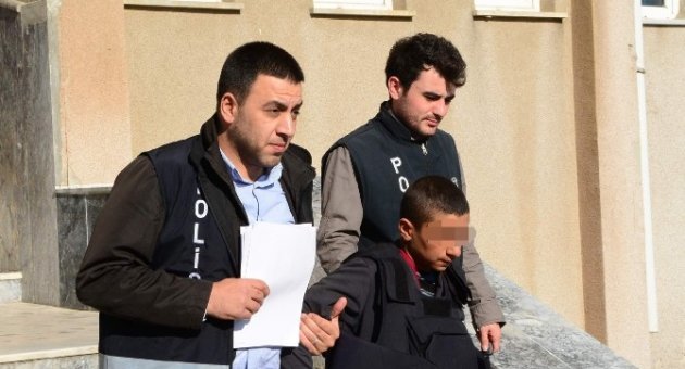 Köpek Kavgasına 1 Tutuklama