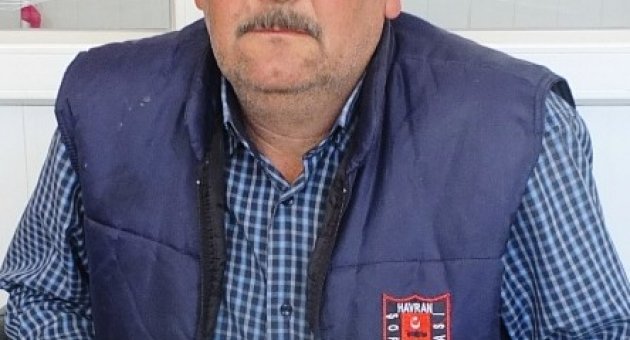 Köylere Terk Edilen Sokak Köpekleri Sorun Oluyor