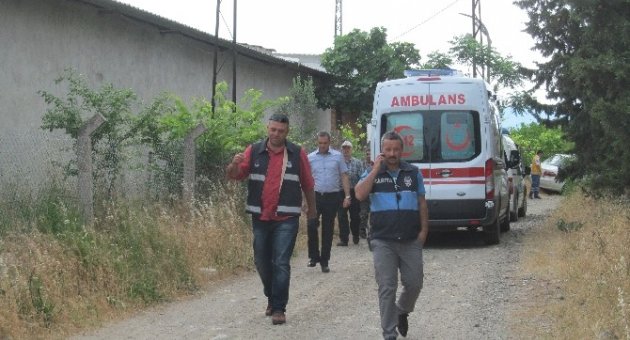 Koyunların Bahçeye Girmesi Yüzünden Çıkan Kavgada Bir Kardeş Öldü, İkisi Yaralandı
