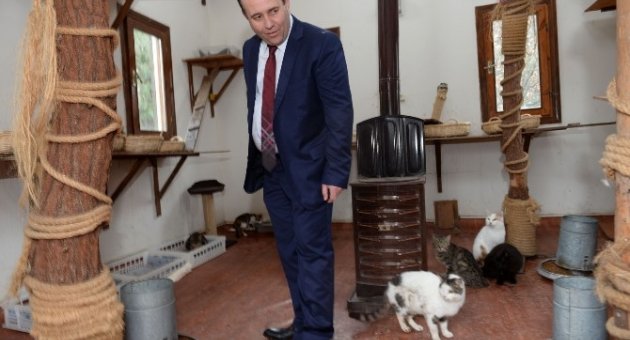 Kozlukebir Heyeti, Osmangazi’nin Yatırımlarını Gezdi