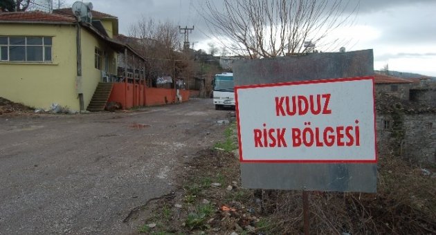 Kuduz Karantinası Sona Erdi