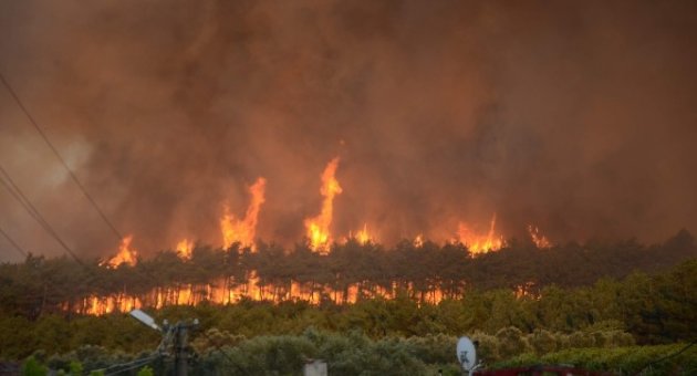Kül Olan 170 Hektar Orman İçin Ağaçlandırma Kampanyasının Startı Veriliyor