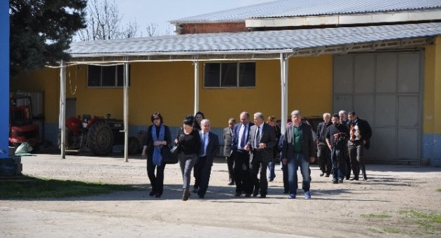Kulaca Tunus’a Model Oldu