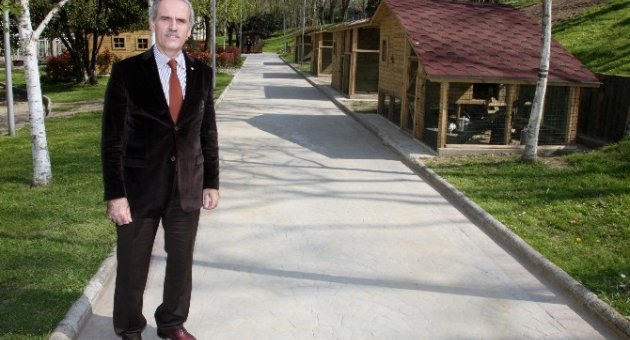 Kültürpark, Canlanıyor
