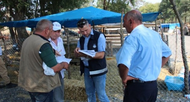 Kurban Pazarına Zabıta Ve Veteriner Denetimi