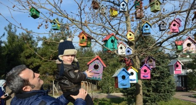 Kuşlar İçin Rengarenk Kuş Evleri