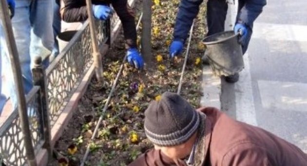 Lale Soğanlarının Ekimine Başlandı