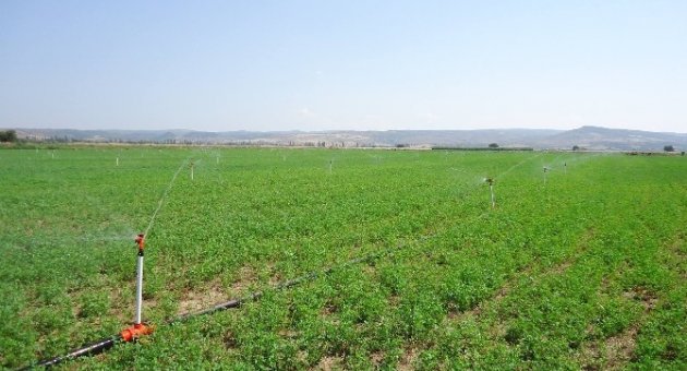 Lapseki Dağ Köylerinde Sulu Tarım Yapılması Planlanıyor