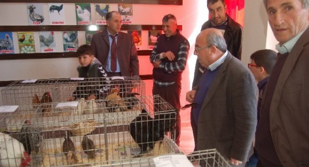 Lapseki’de Süs Tavukları Ve Bahçe Hayvanları Yetiştiricileri Derneği Açıldı