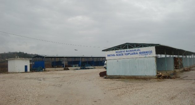 Lapseki’ye Meyve Hali