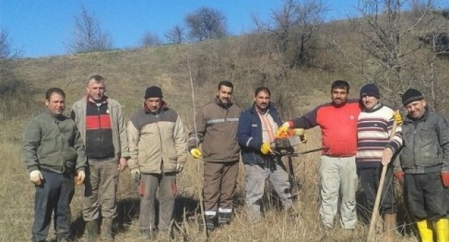Malkara’da 2 Bin 500 Fidan Dikildi