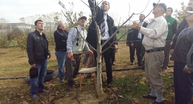 Malkara’da Çiftçilere Budama Eğitimi Verildi