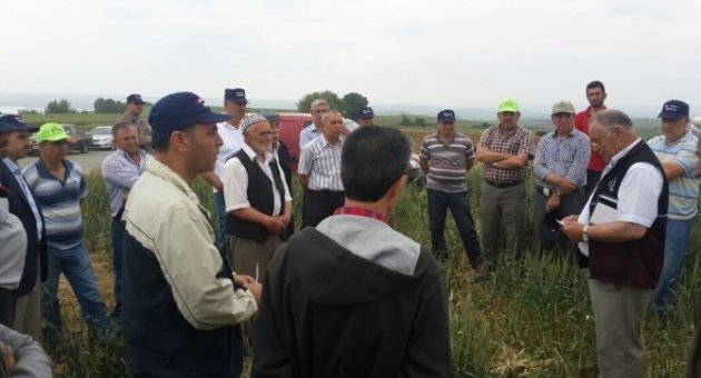 Malkara’da Çiftçilere Tarla Okulu Eğitimi Verildi