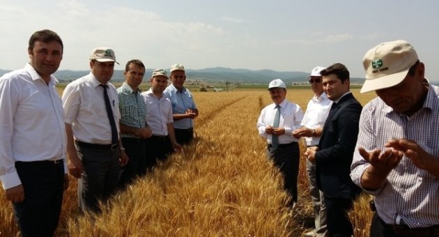 Malkara’da Tarla Günü Etkinliği