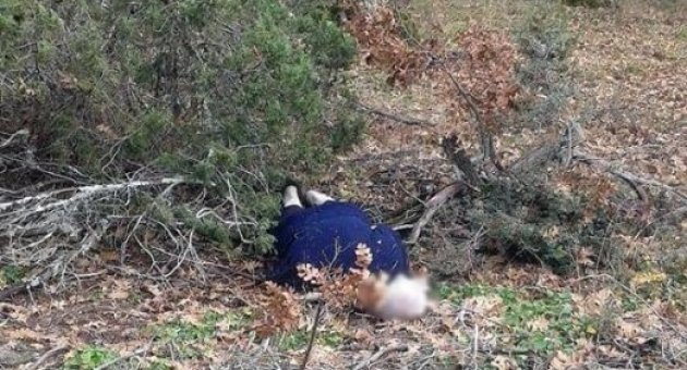 Mantar Toplamaya Giden Kişi Ölü Bulundu