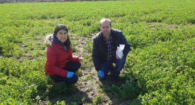 Manyas’ta Tarla Fareleri Tarama Çalışması