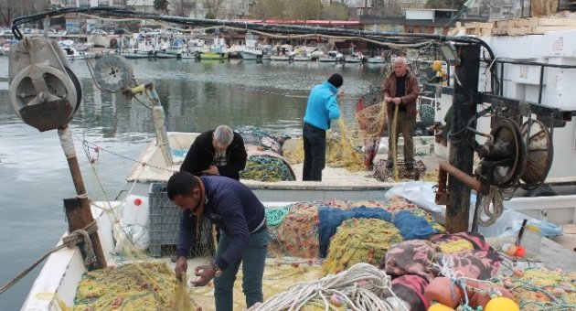Marmara Denizi’nde Balık Çıkmayınca Sezon Erken Kapandı