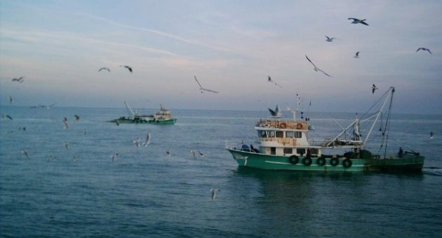 Marmara Denizi’nde Trol Yeniden Hortladı
