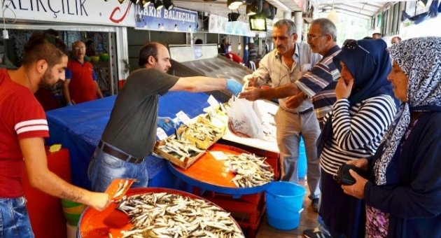Marmara’da Palamut Bereketi