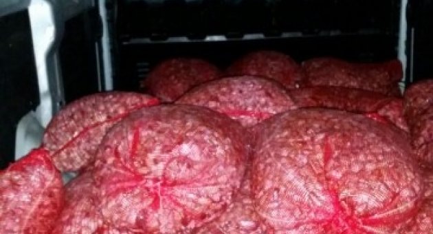 Midye Kaçakçılarına Keşan’dan Geçit Yok
