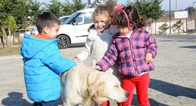 Minik Öğrencilerin Hayvan Sevgisi