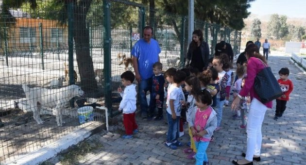 Miniklerden Sevimli Dostlara Ziyaret