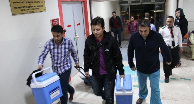 Mit’çinin Cinnetinde Hayatını Kaybeden Eşi 3 Kişiye Umut Olacak