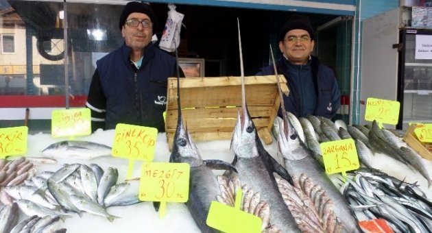 Mudanya’da Kılıç Balığı Bereketi