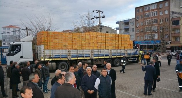 Muratlı Ve Şarköy İlçesi’nde Bin 37 Arı Kovanı Dağıtıldı