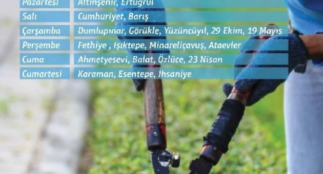 Nilüfer Belediyesi Budama Atıklarını Topluyor