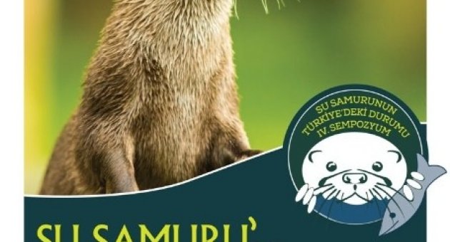 Nilüfer Belediyesi Su Samuru Sempozyumu’na Ev Sahipliği Yapacak