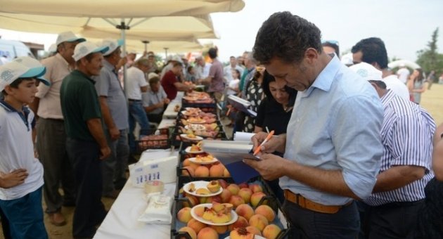 Nilüfer’de ‘şeftival’ Coşkusu