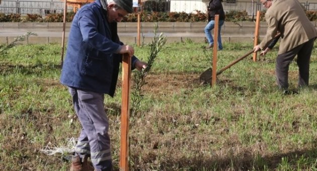 Nilüfer’de Yeşil Seferberlik
